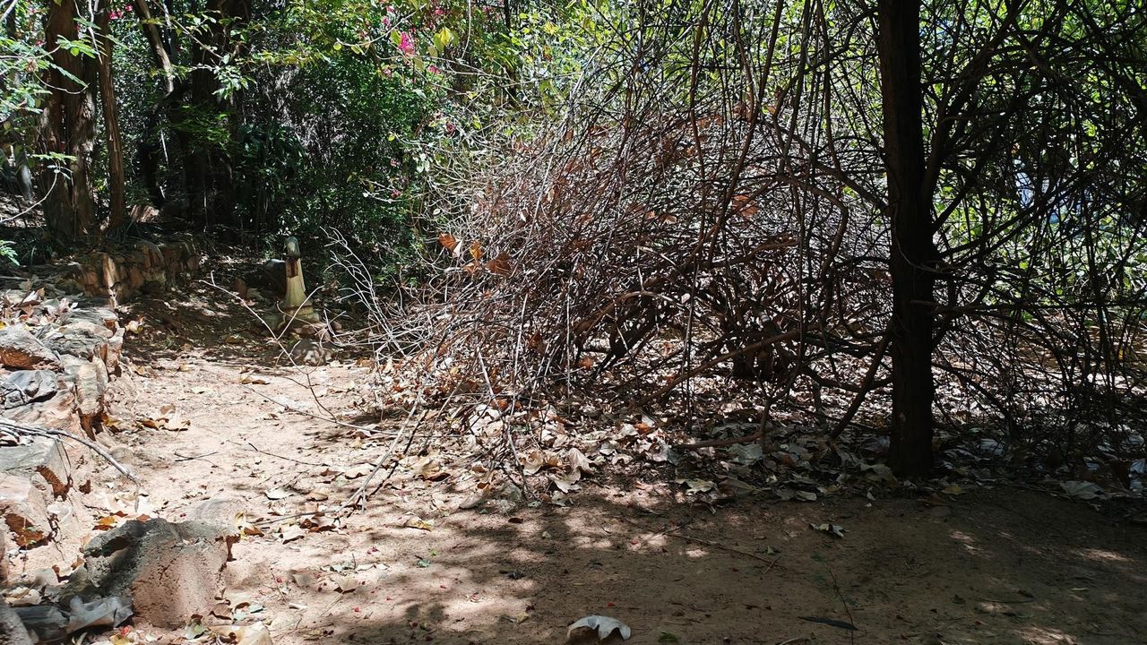 Photo 7 of 9