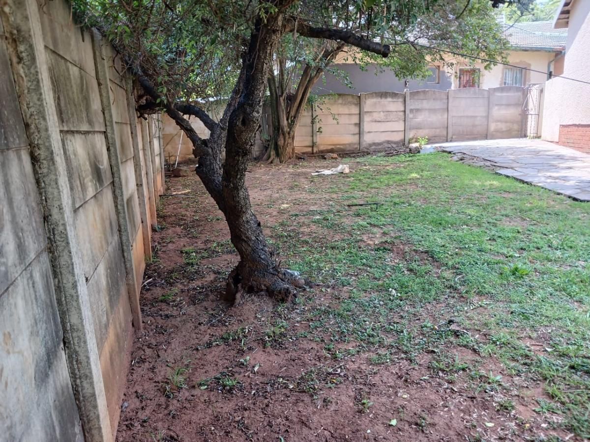 Photo 6 of 18