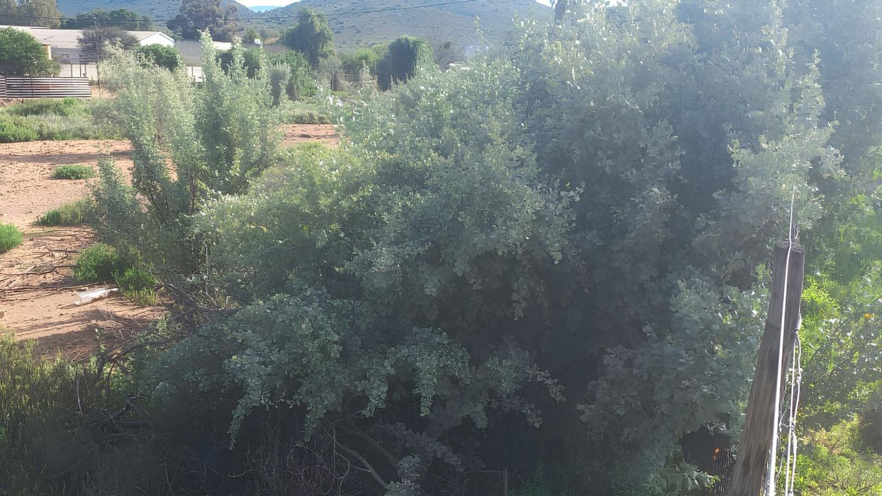 Photo 10 of 12