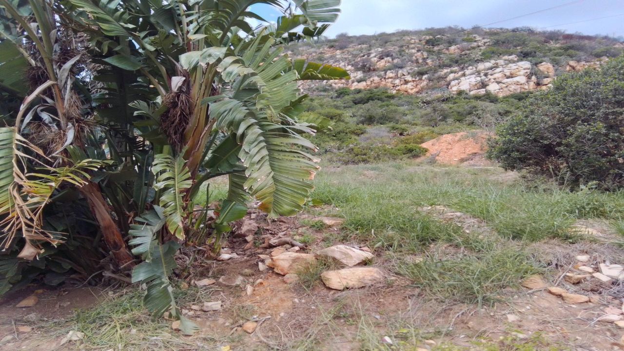 Photo 6 of 12