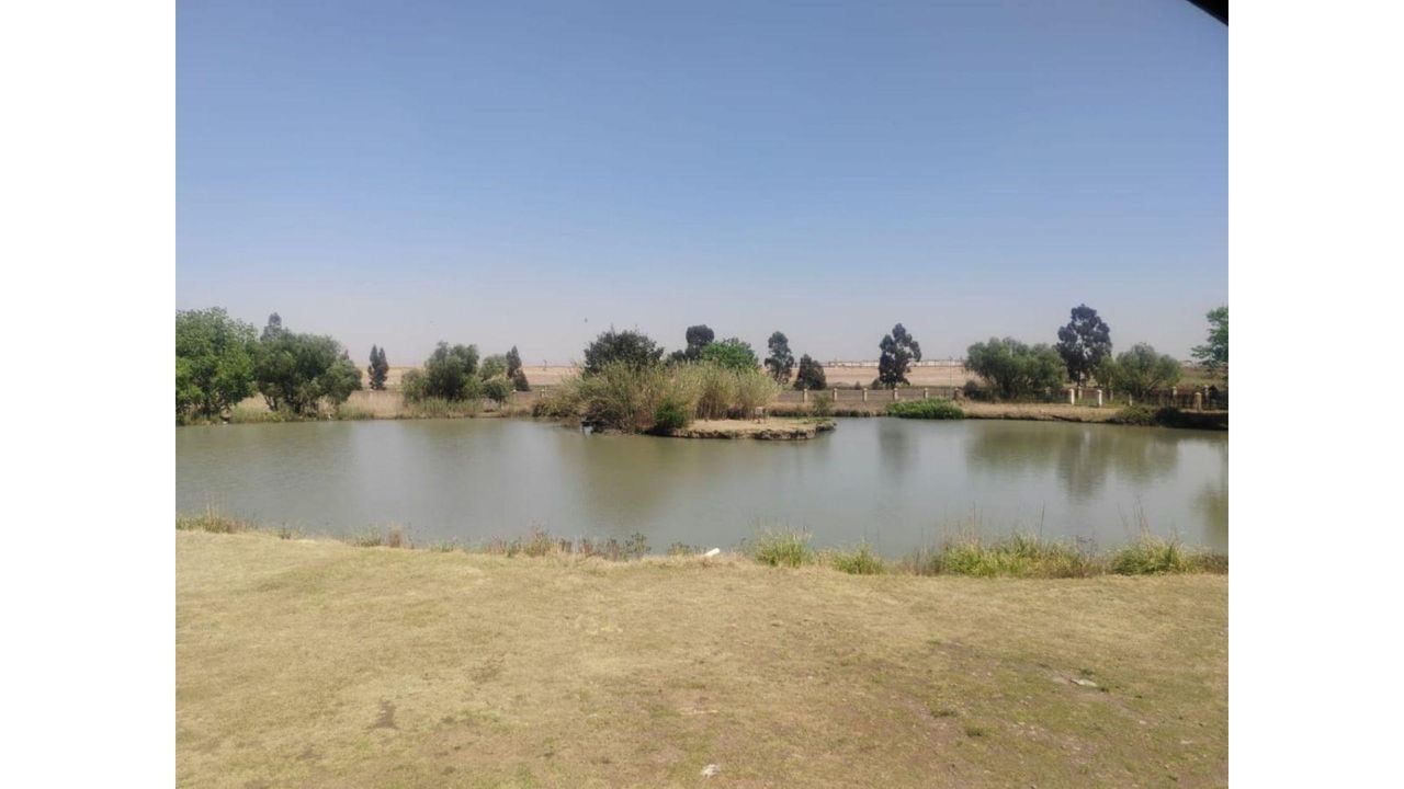 Photo 9 of 26