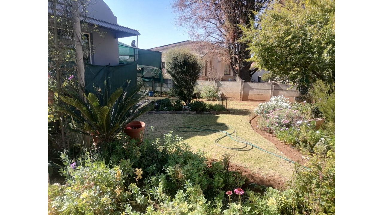 Photo 8 of 31