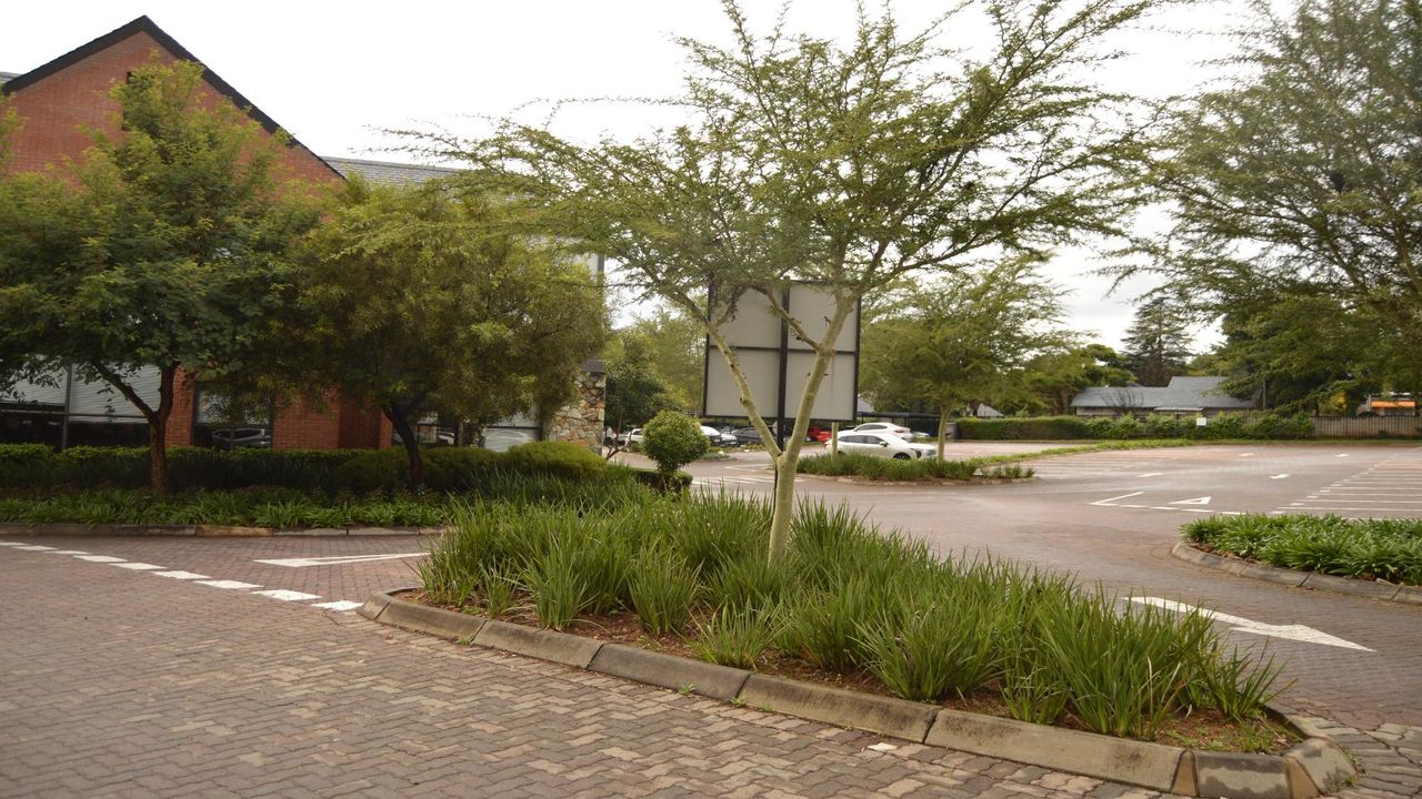 Photo 4 of 17