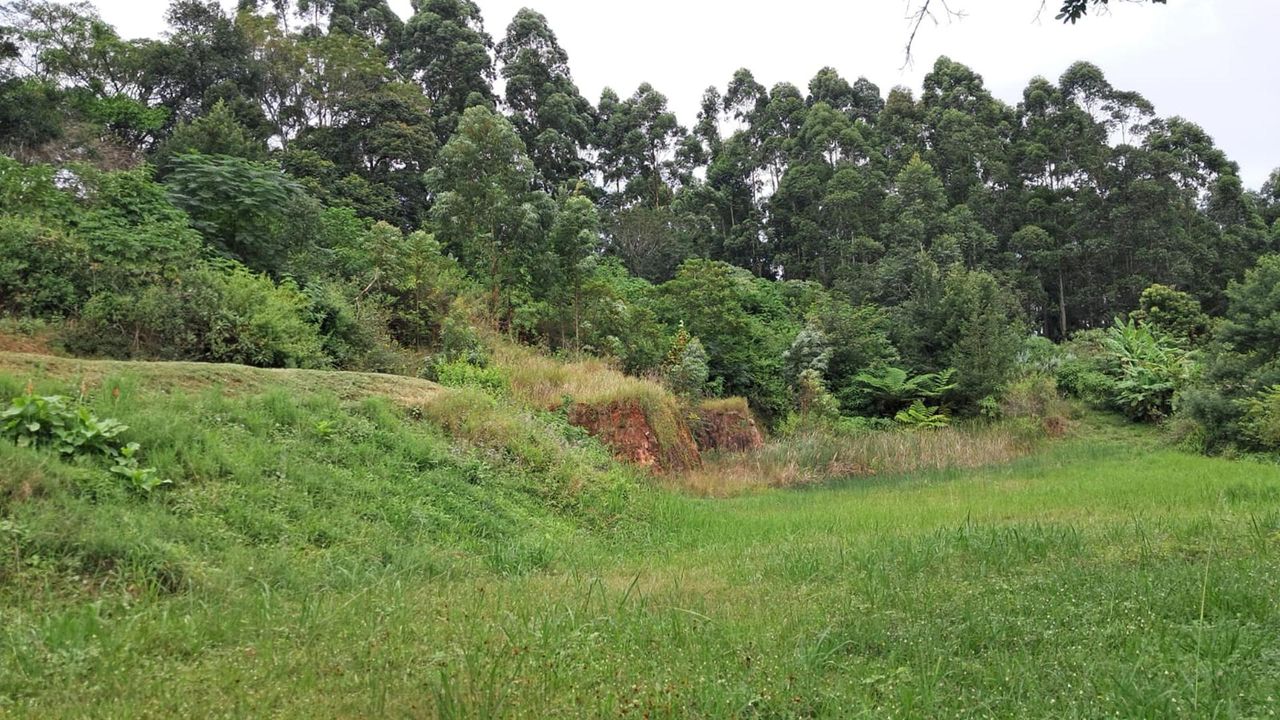 Photo 19 of 21