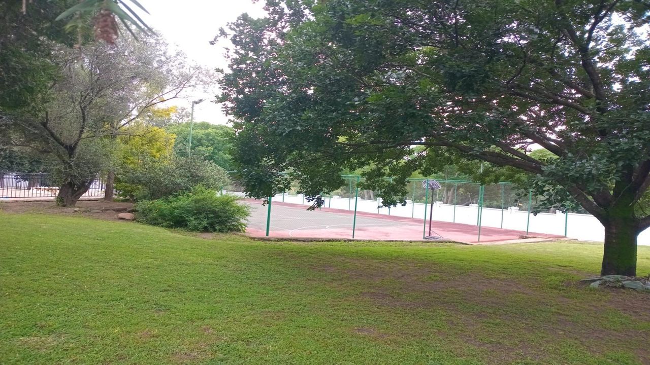 Photo 4 of 7