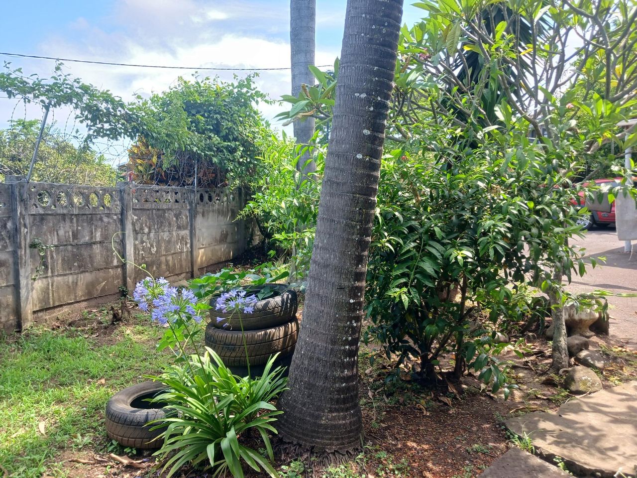 Photo 8 of 20