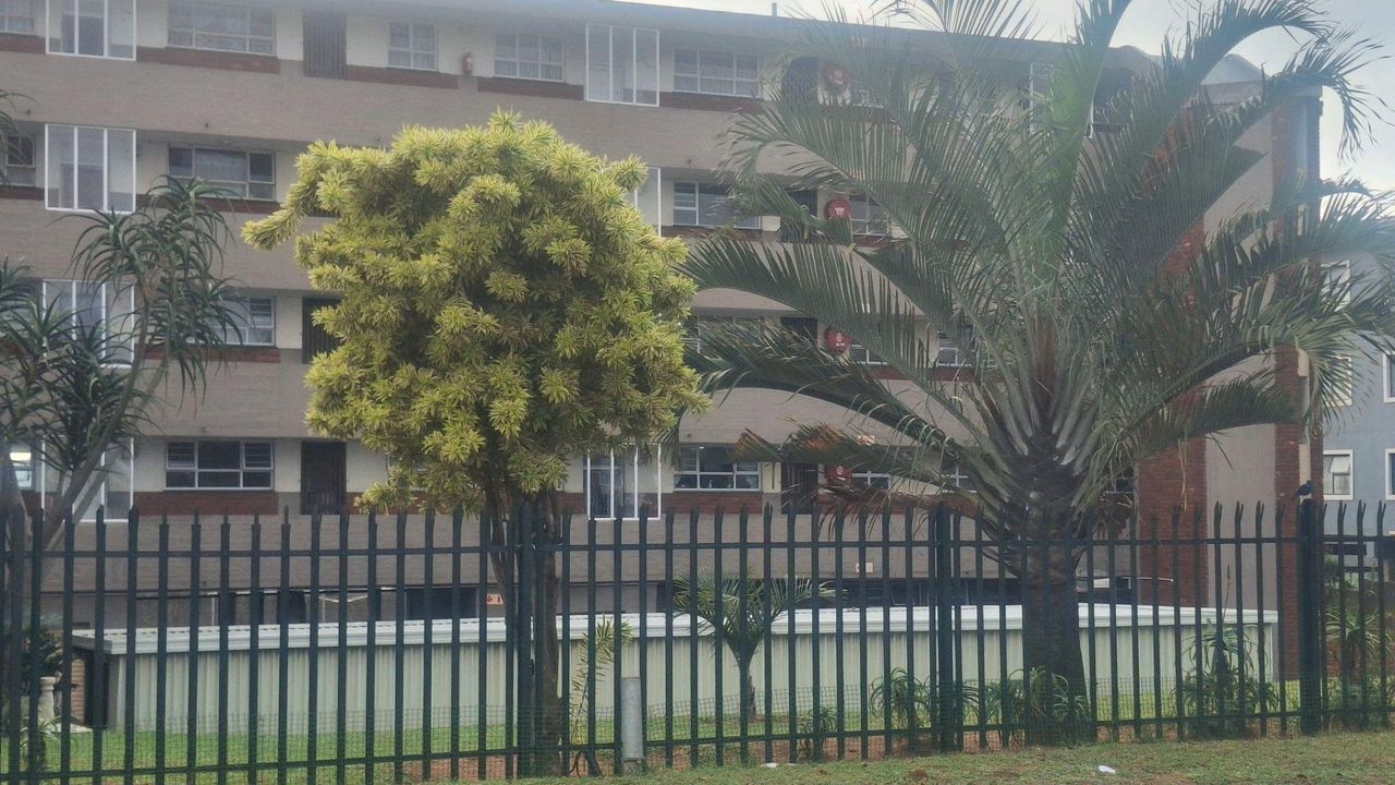 Photo 3 of 12