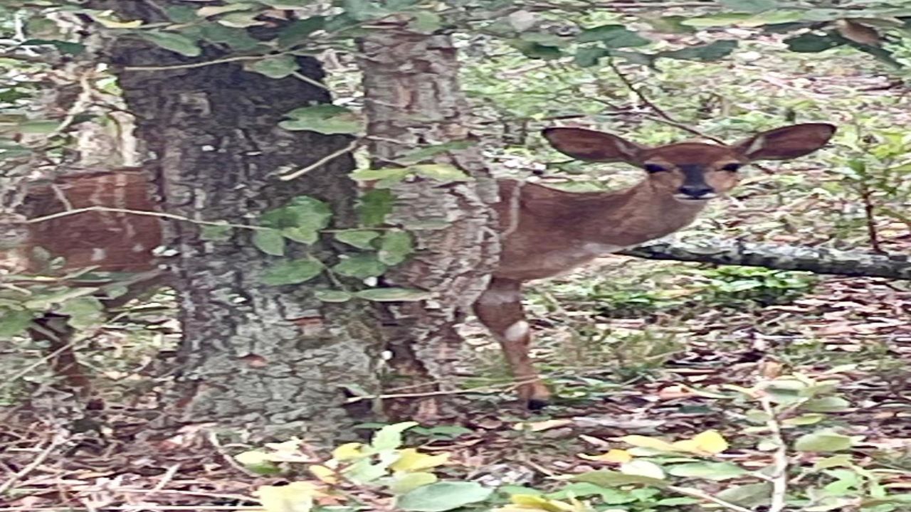 Photo 2 of 36