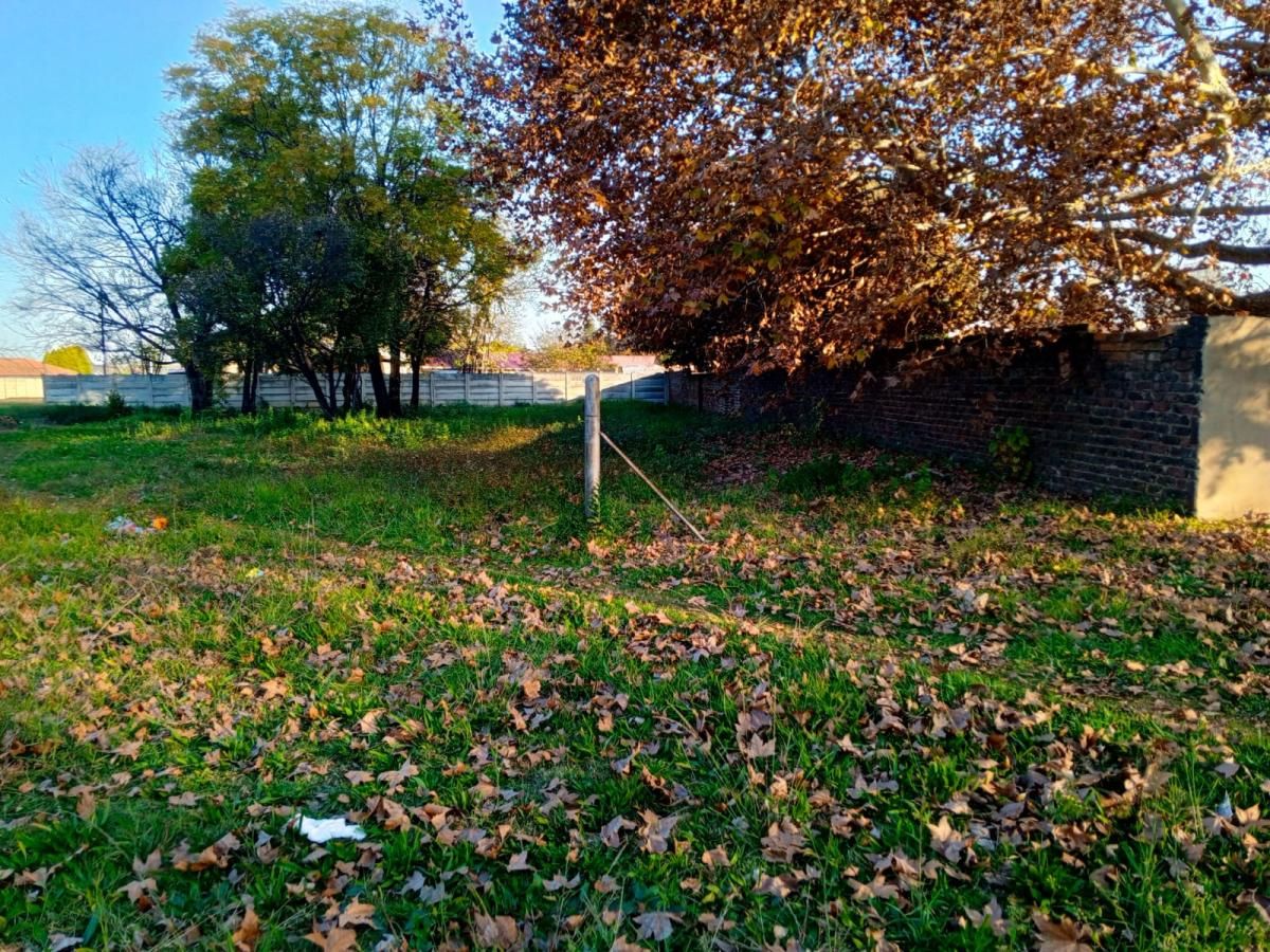 Photo 10 of 10