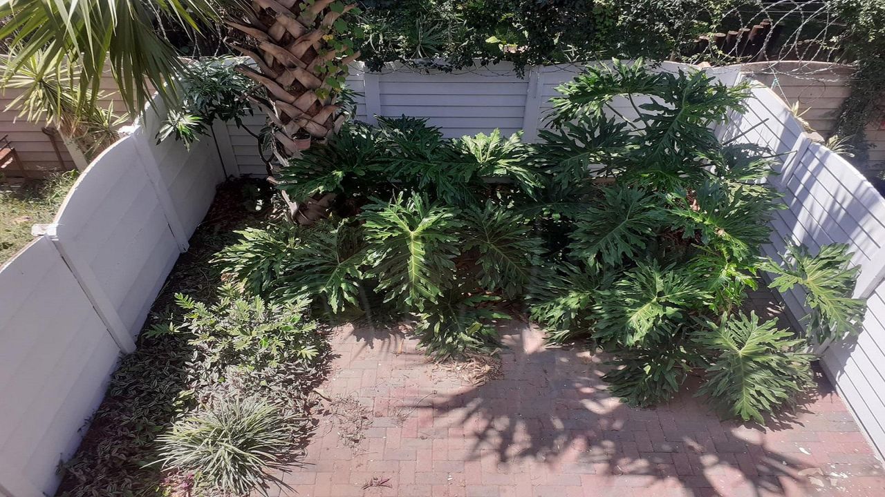 Photo 21 of 27