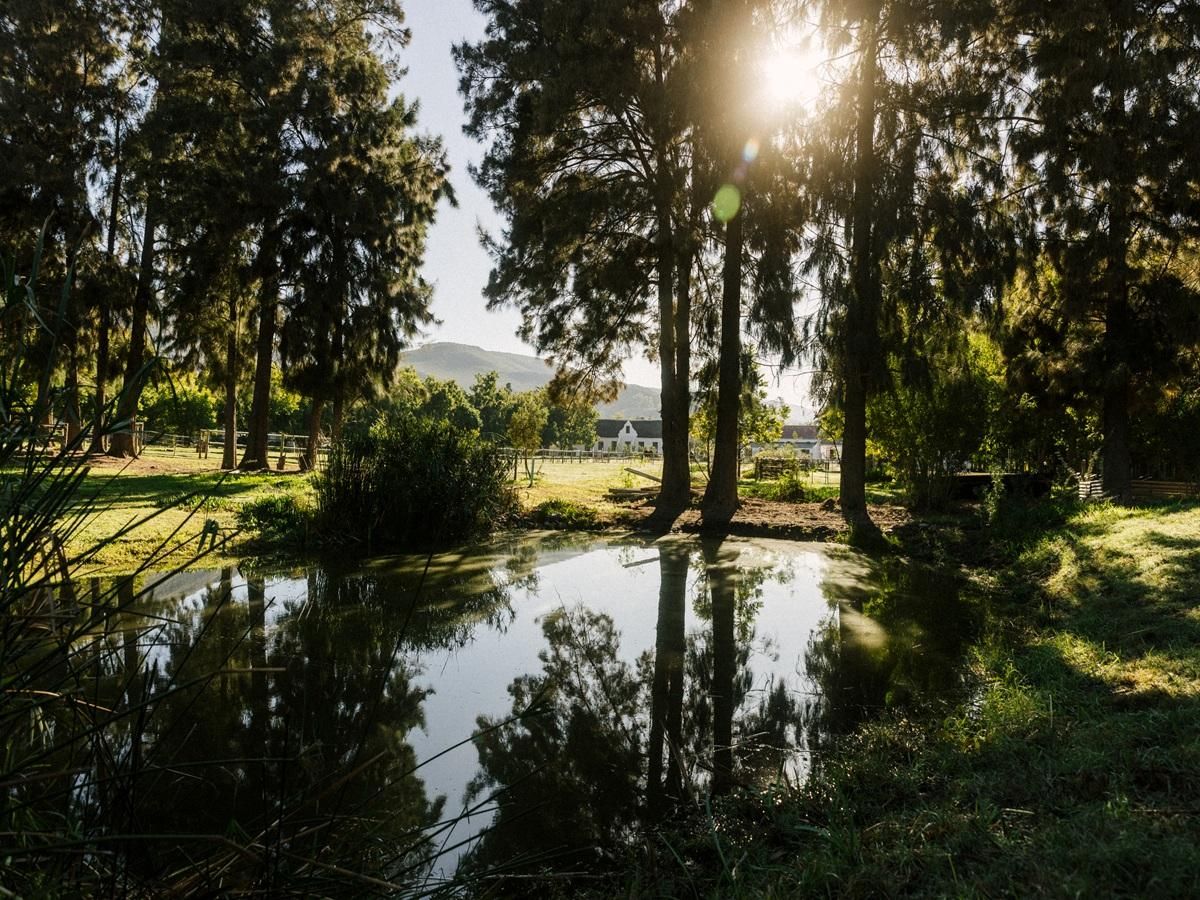 Photo of Farm for auction in Montagu
