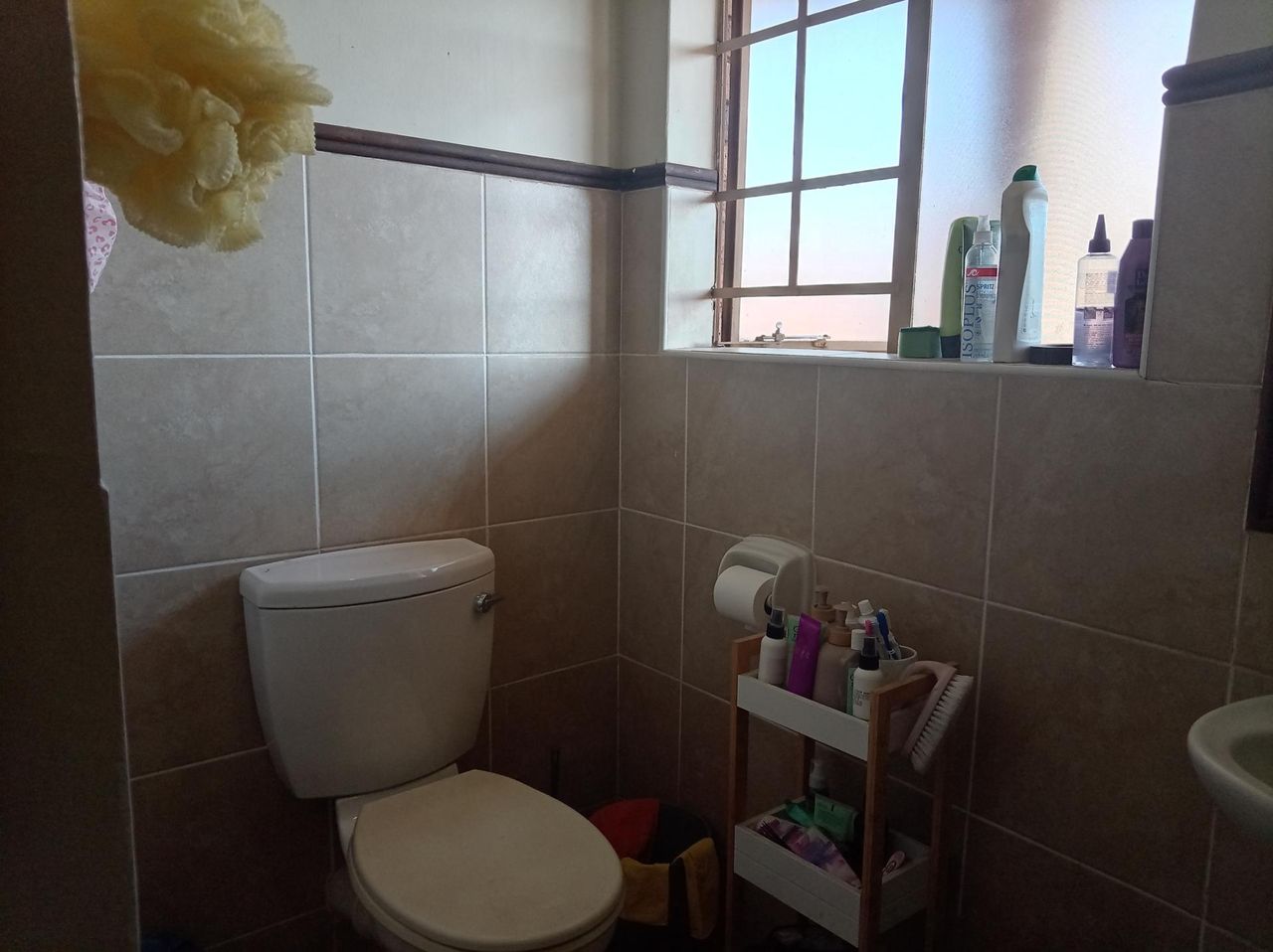 Photo 17 of 20