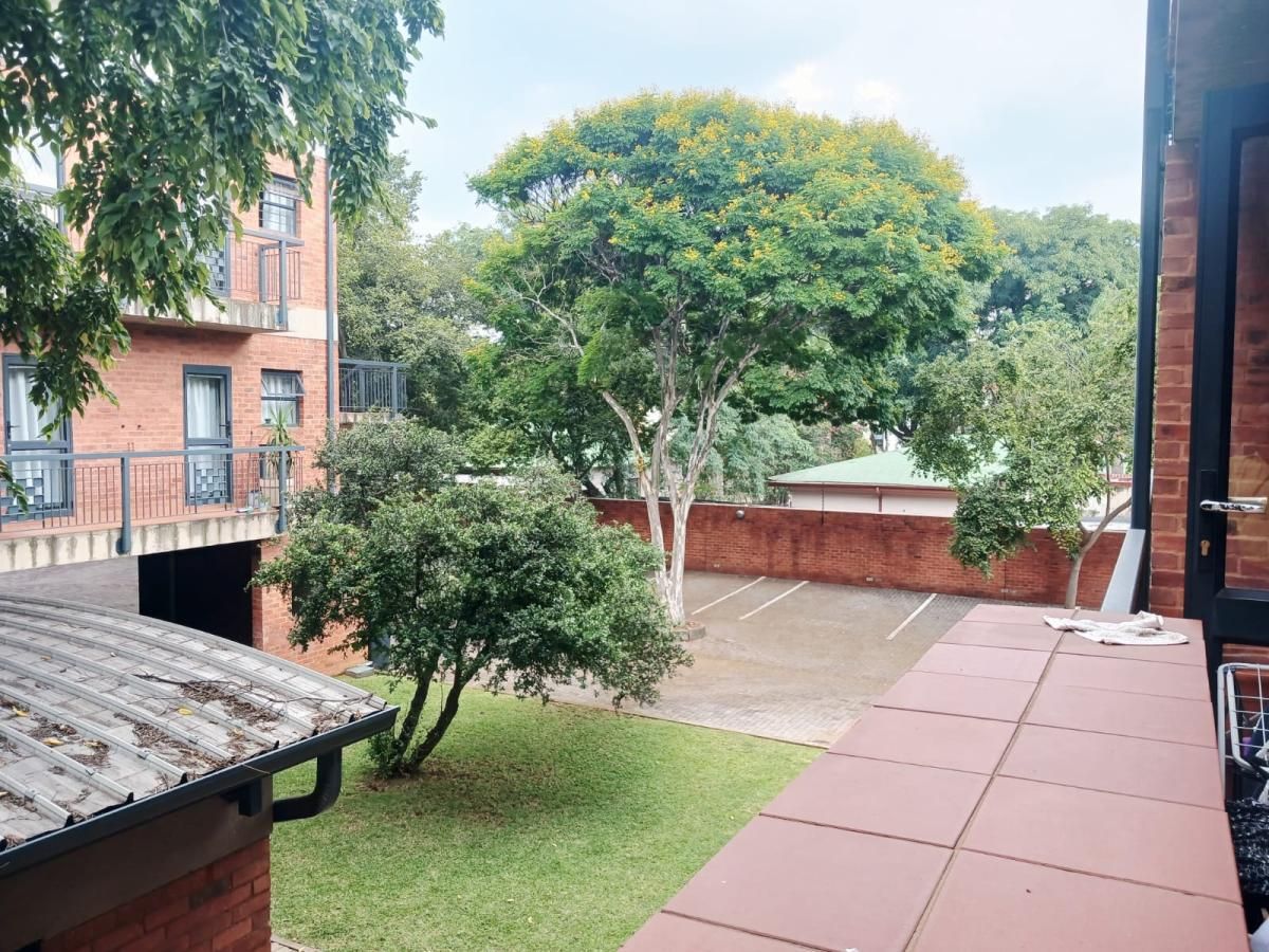 Photo 10 of 21