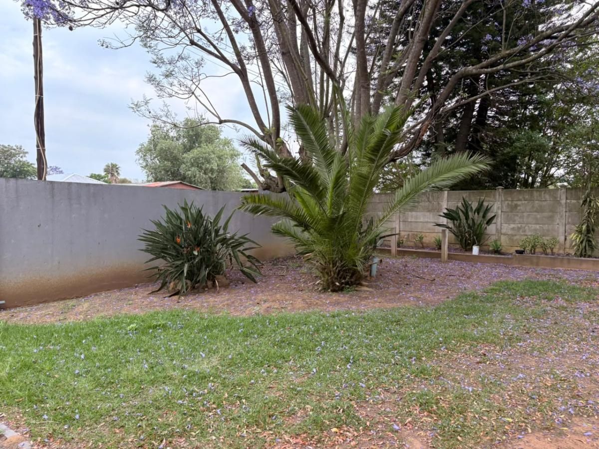 Photo 15 of 46