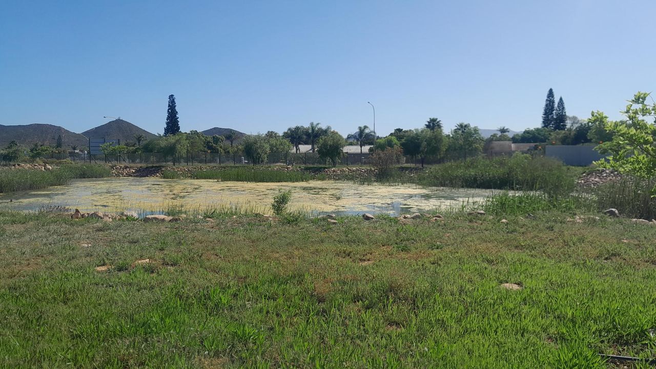 Photo 9 of 12