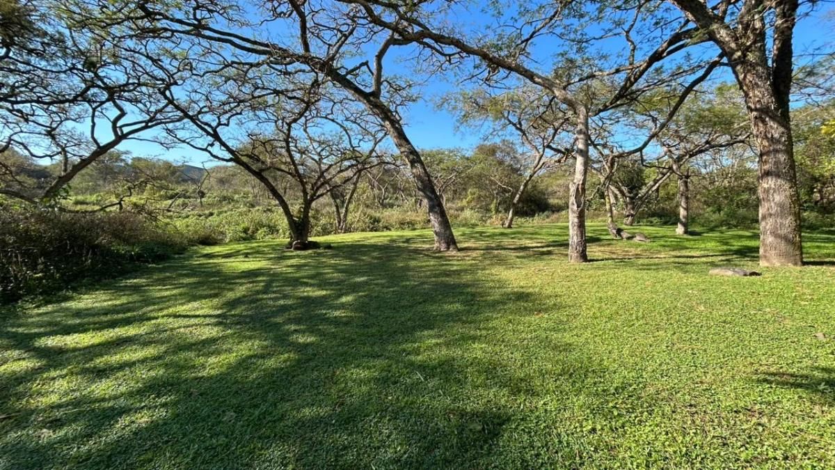 Photo 19 of 19