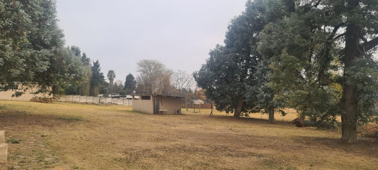 Photo 19 of 23