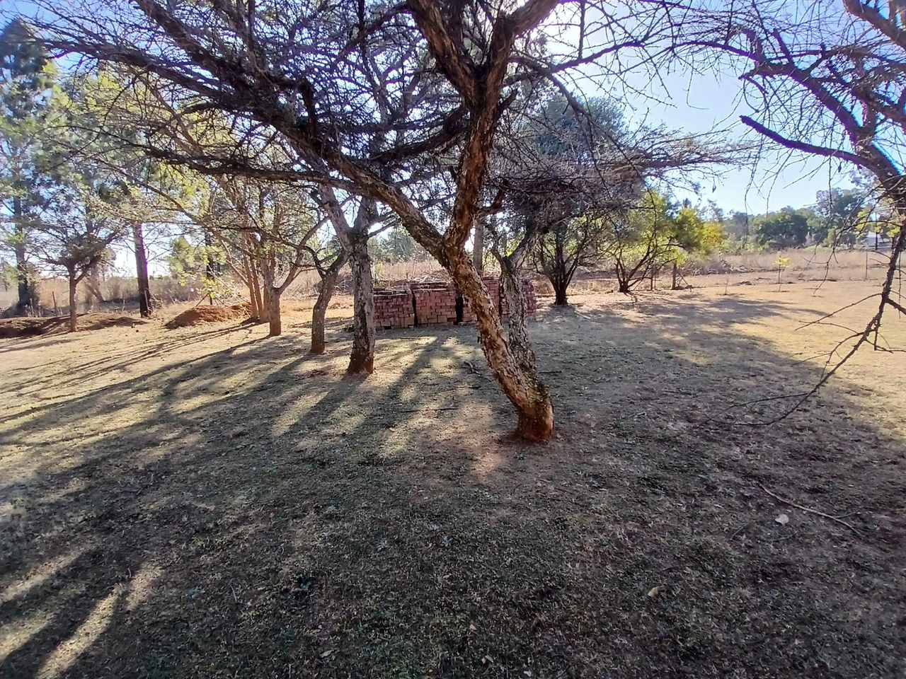 Photo 4 of 13