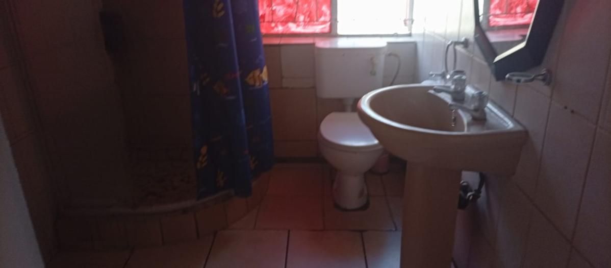 Photo 14 of 16