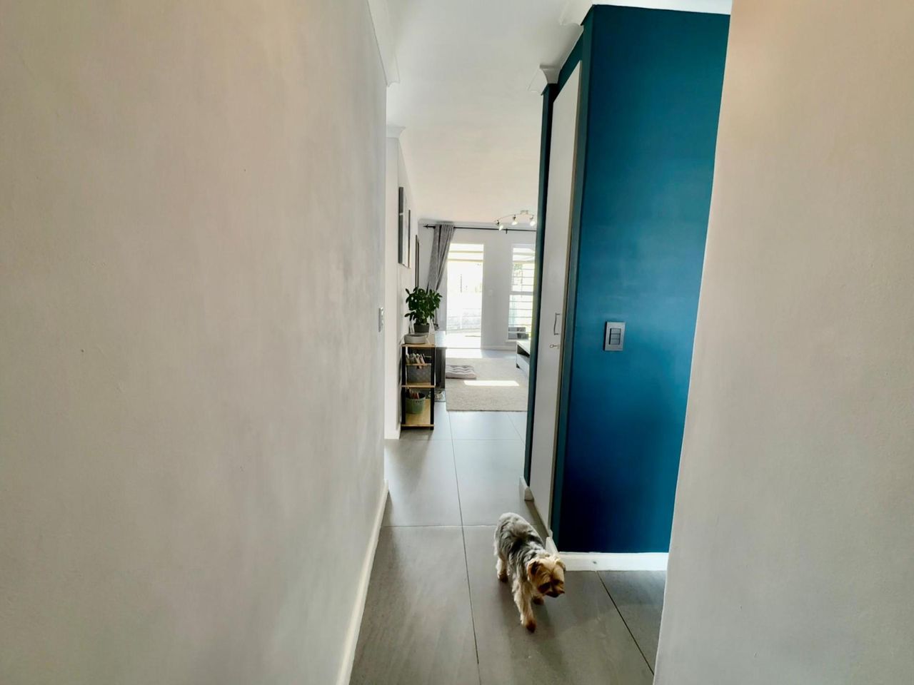 Photo 5 of 26