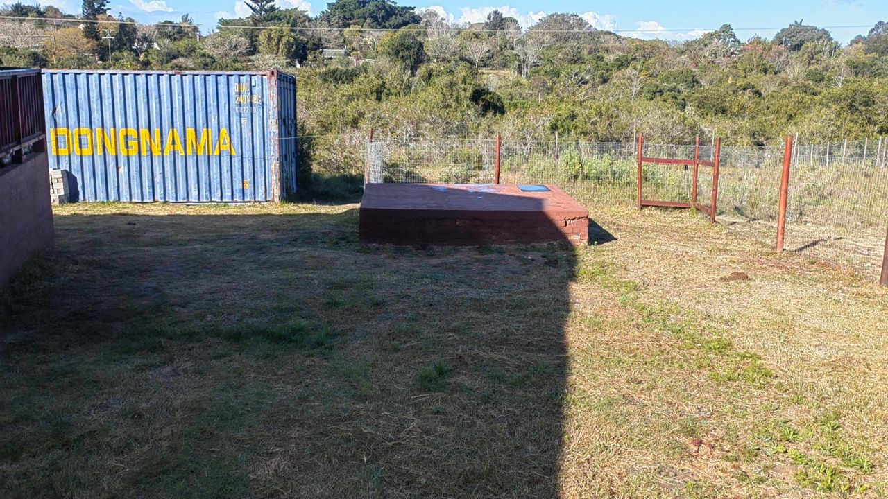 Photo 20 of 24