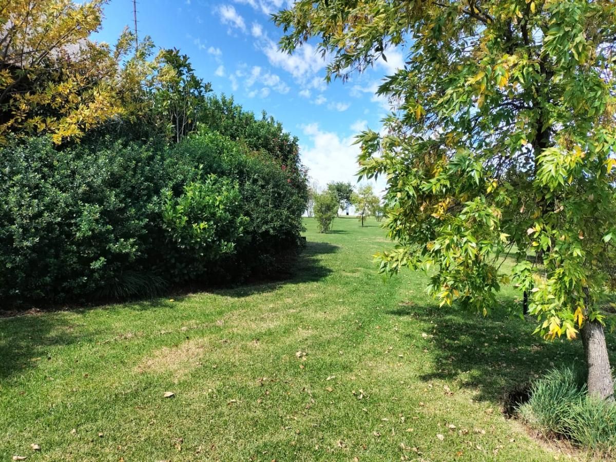 Photo 11 of 21