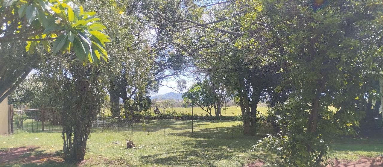 Photo 6 of 33