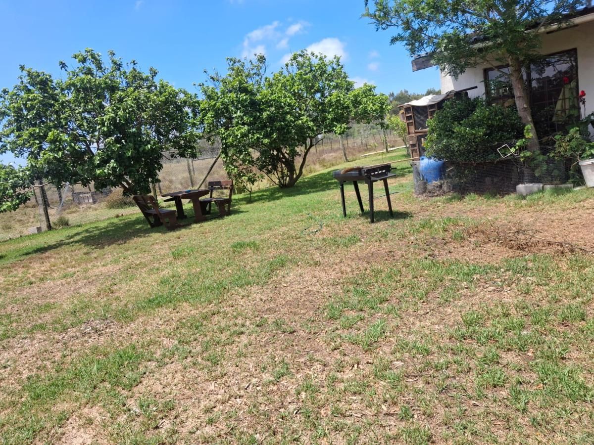 Photo 10 of 19