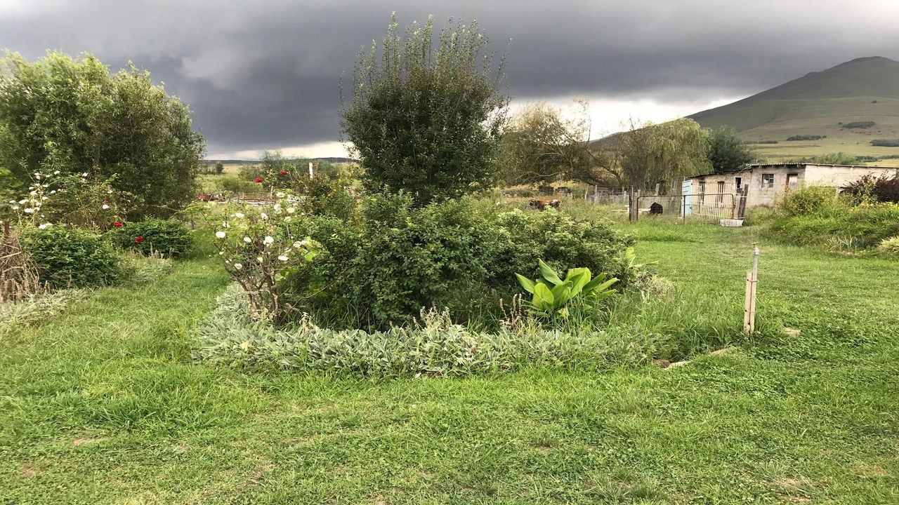 Photo 9 of 14