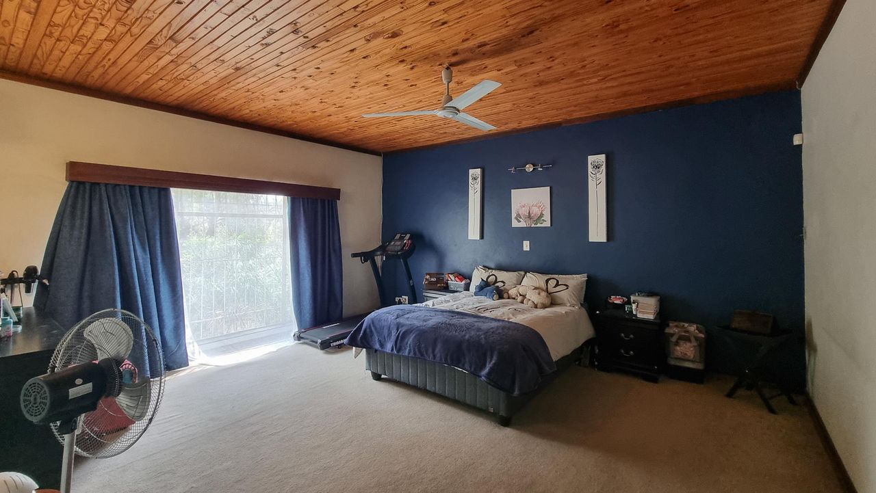 Photo 14 of 46