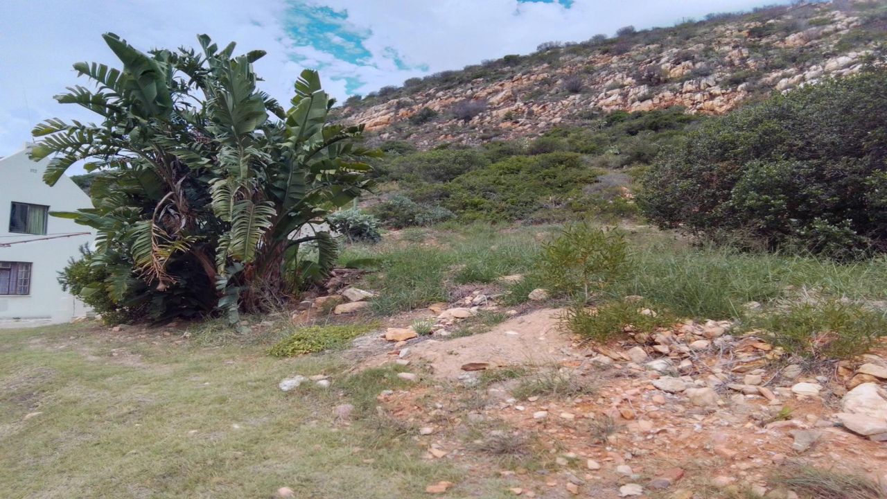 Photo 8 of 12