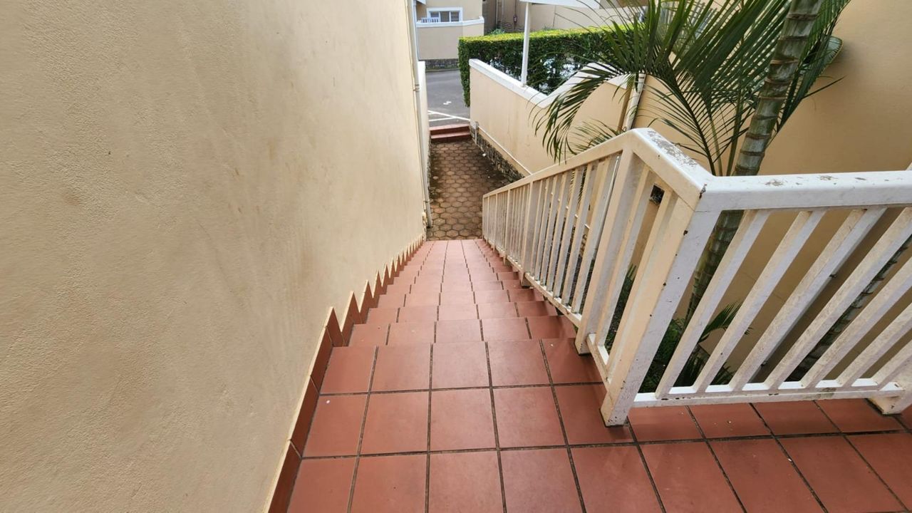 Photo 12 of 12