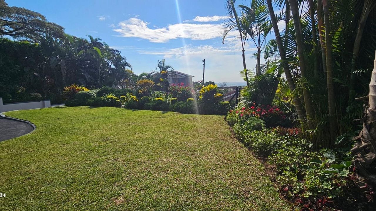 Photo 6 of 28
