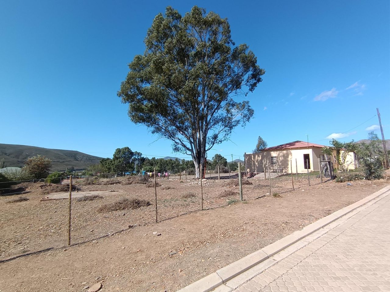Photo 6 of 12