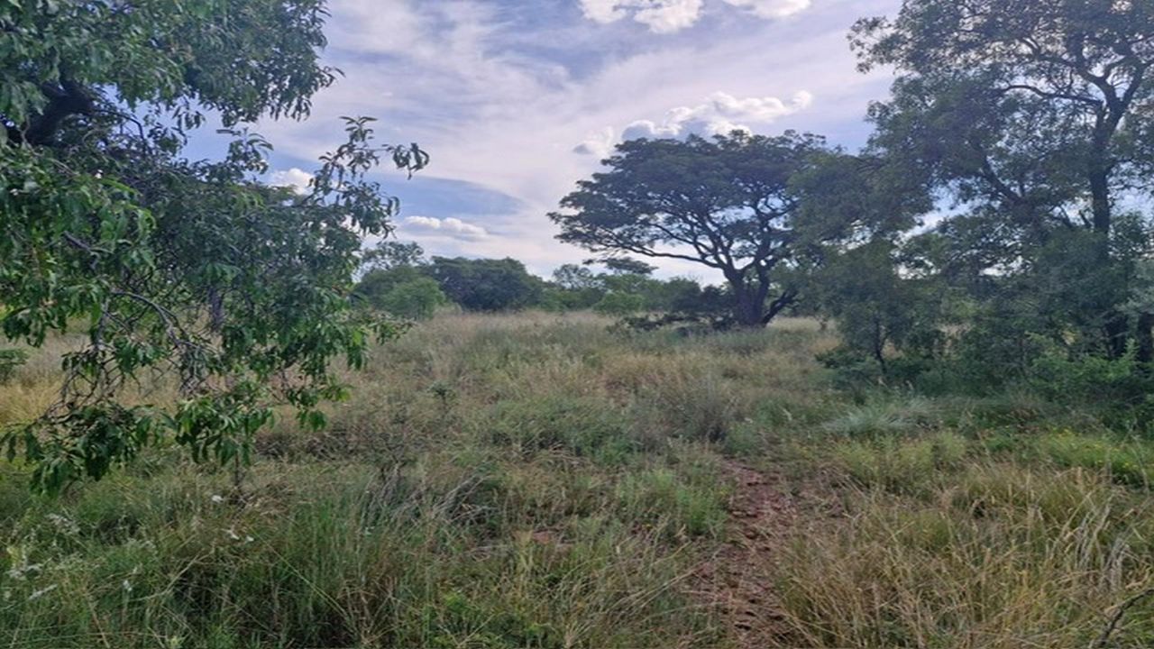 Photo 9 of 20