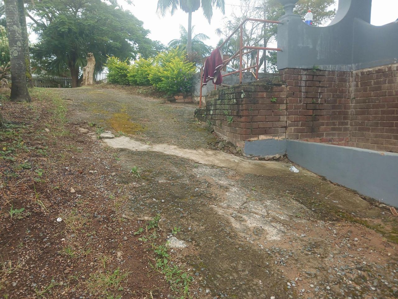 Photo 9 of 24
