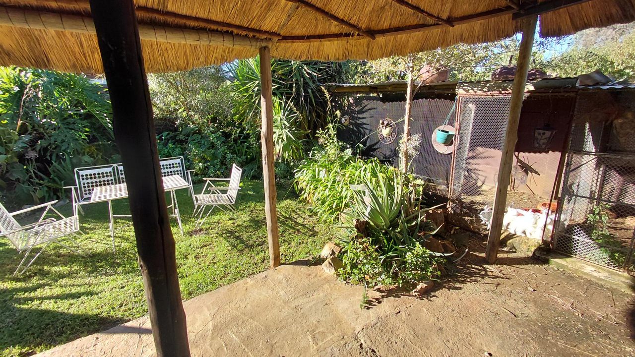 Photo 37 of 56