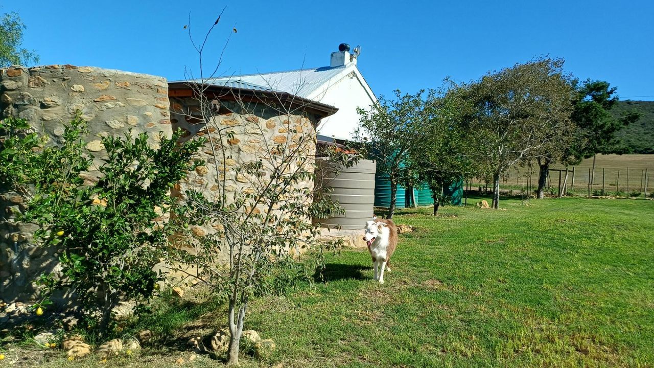 Photo 15 of 40