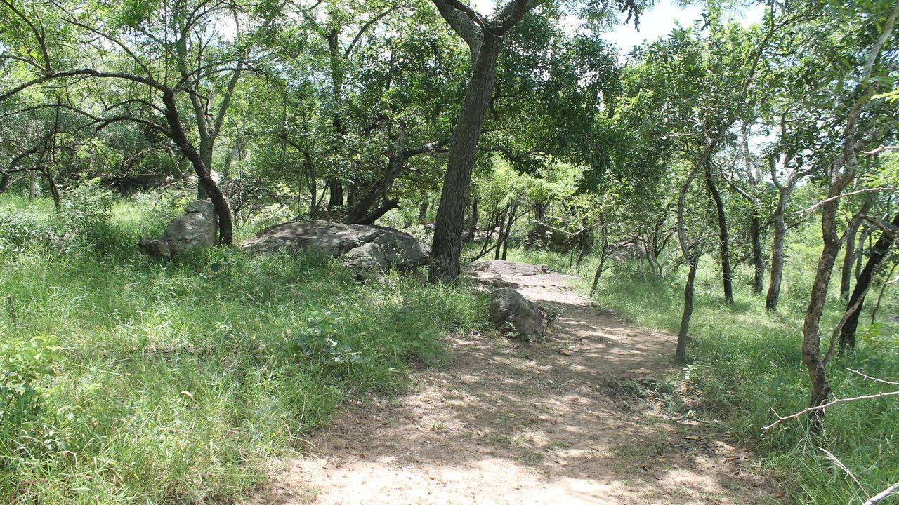 Photo 10 of 21
