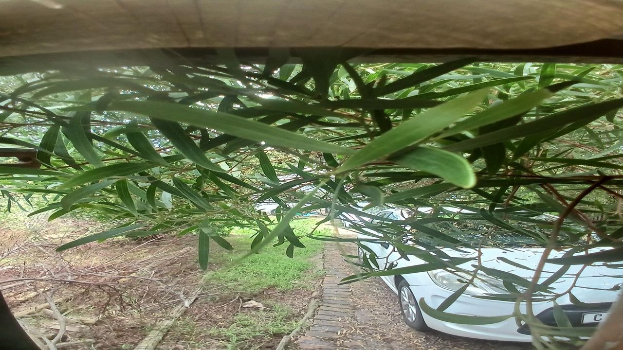 Photo 4 of 5