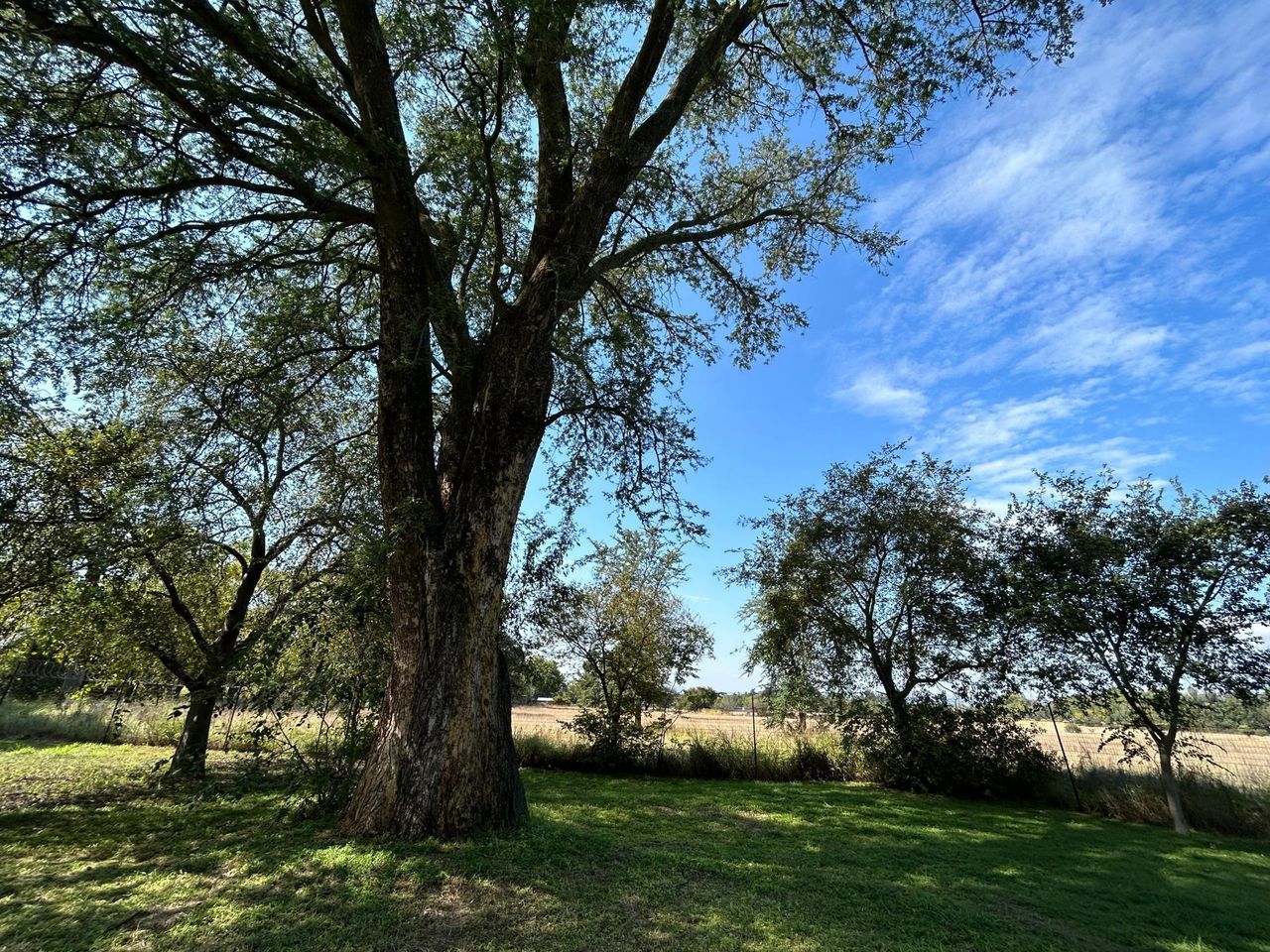 Photo 6 of 21