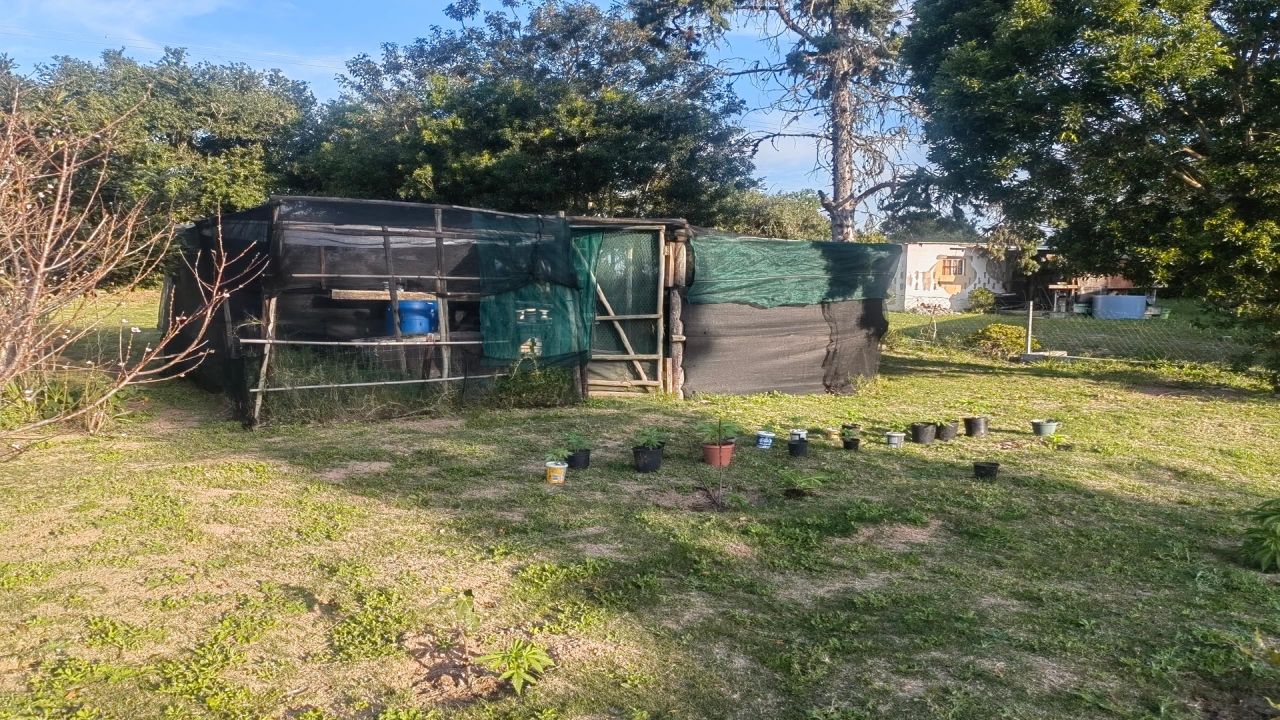 Photo 5 of 12