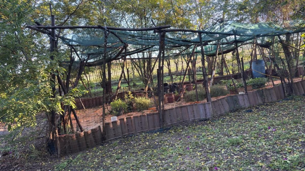 4 Bedroom farm for sale in Hartebeeshoek, Akasia