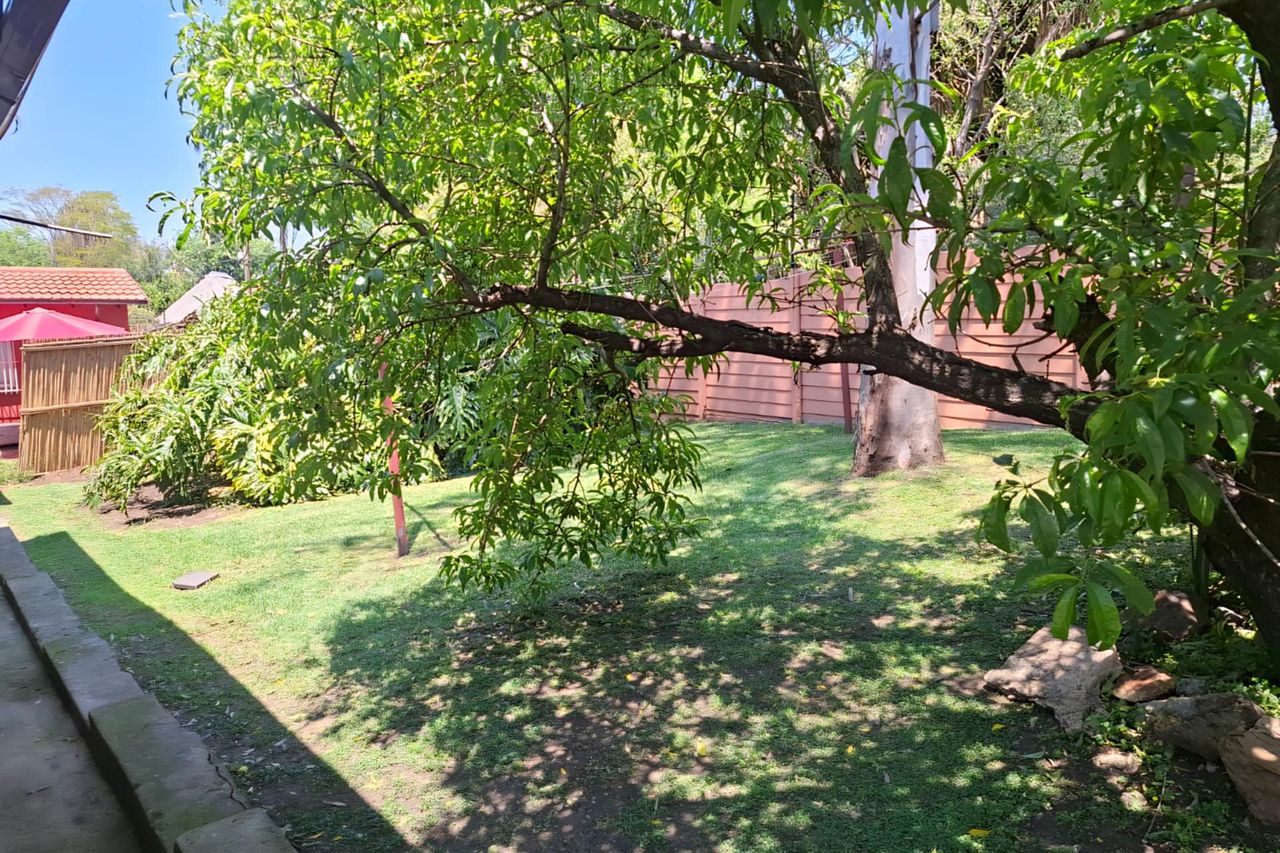 Photo 36 of 38