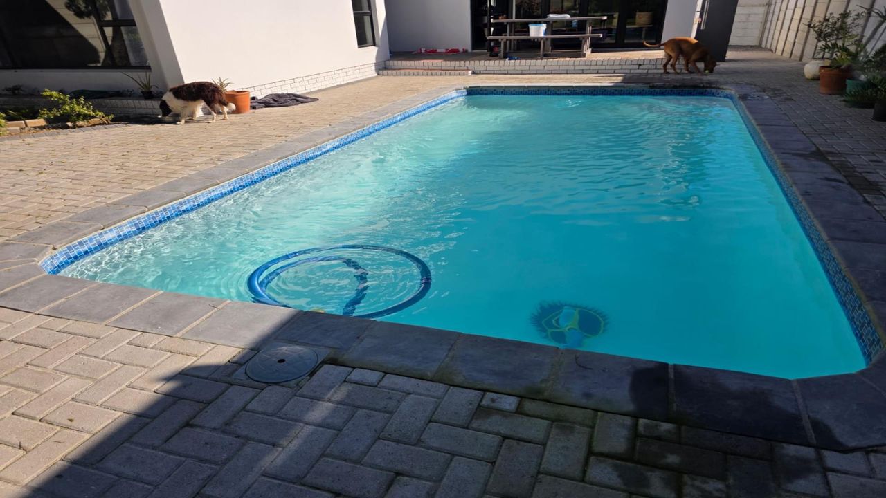 Photo 18 of 22