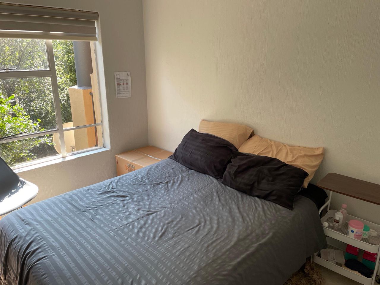 Photo 8 of 22