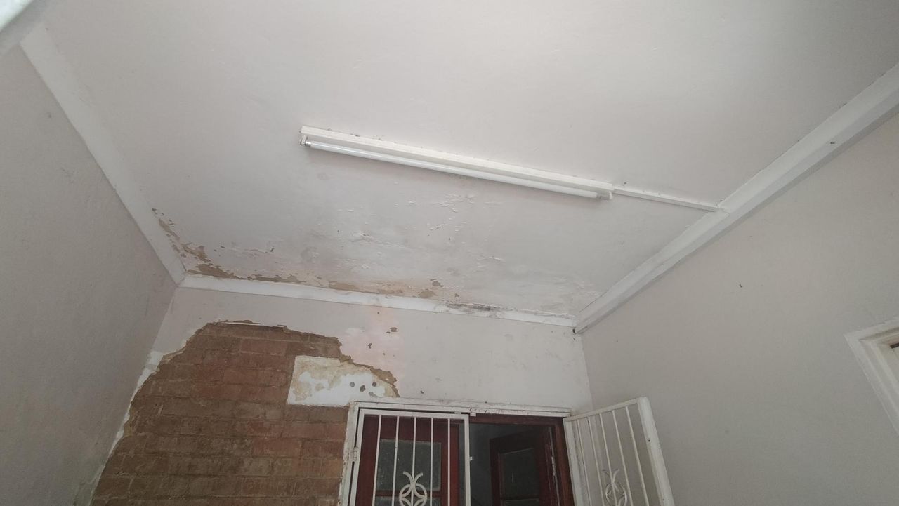 Photo 5 of 12