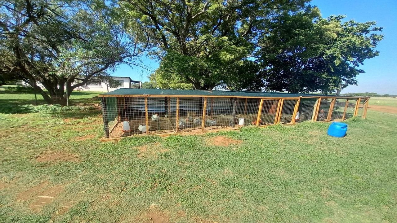 Photo 14 of 34