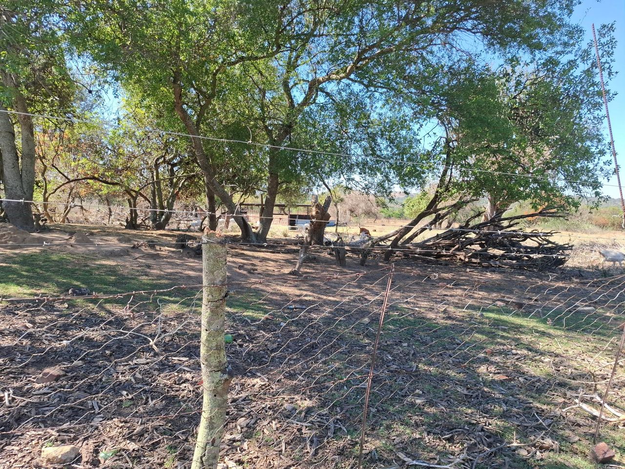 Photo 6 of 30