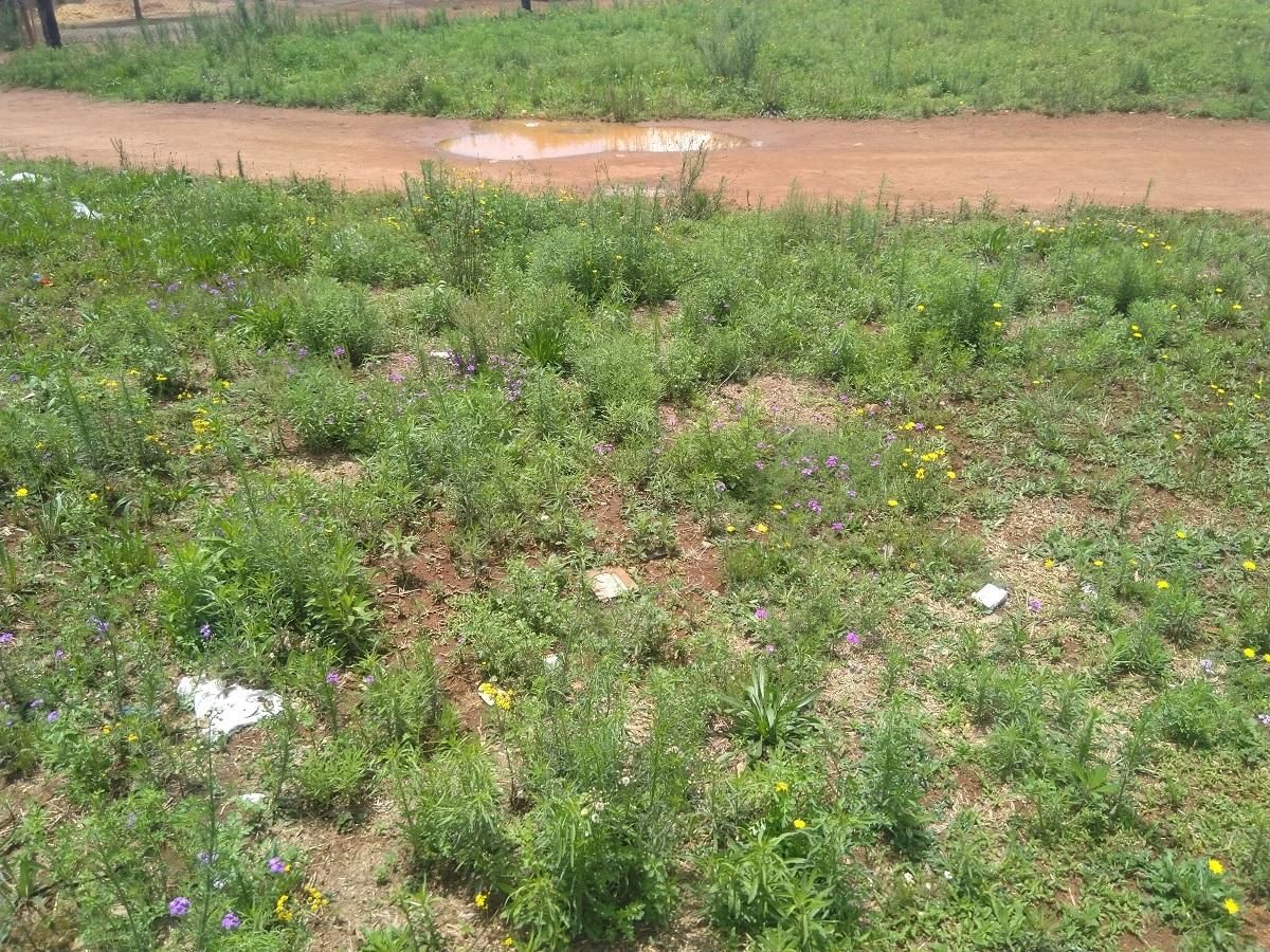 Photo 7 of 9
